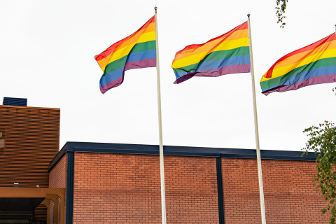 Rainbow flags in front of the Snellmania building.
