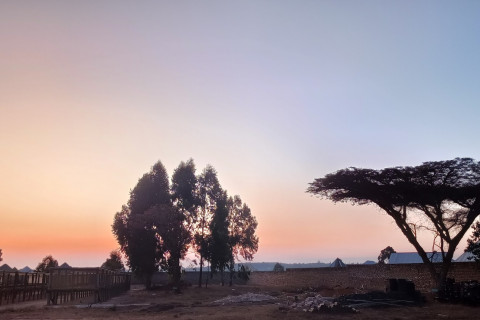  An African landscape in Mafinga town Tanzania with trees and brick wall.