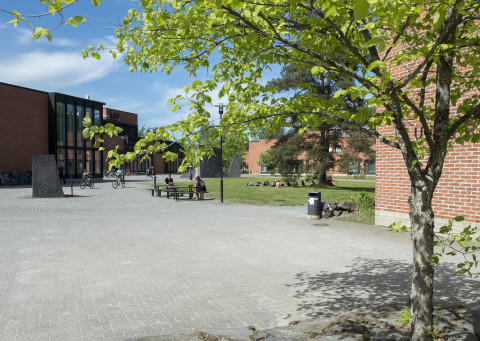 Image of facilities of Joensuu Campus in summer.