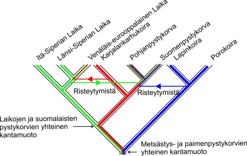 finnish language tree