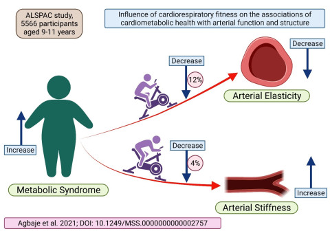 Increased risk of metabolic syndrome in childhood could increase arterial stiffness and reduce arterial elasticity, which are precursors of atherosclerosis. However, increased cardiorespiratory fitness in childhood could delay this risk progression by 4-12%. 