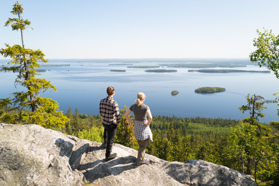 Bachelor's degree programme in Sustainable Forest Bioeconomy ...